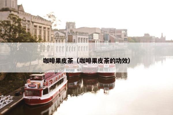 咖啡果皮茶（咖啡果皮茶的功效）