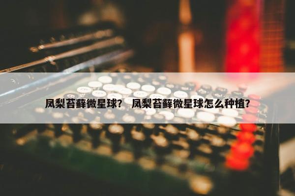 凤梨苔藓微星球？ 凤梨苔藓微星球怎么种植？