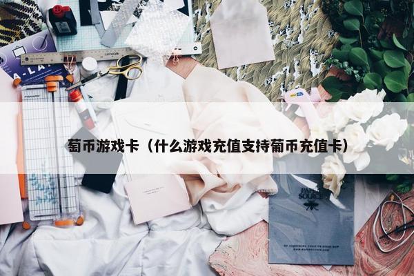 萄币游戏卡（什么游戏充值支持葡币充值卡）