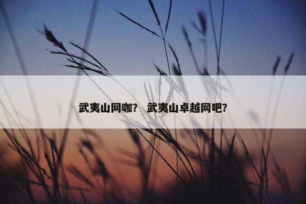 武夷山网咖？ 武夷山卓越网吧？