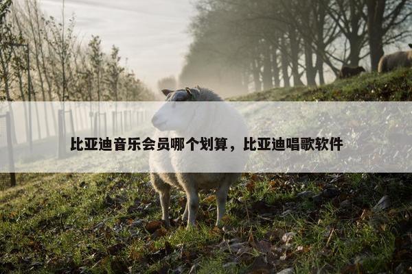 比亚迪音乐会员哪个划算，比亚迪唱歌软件