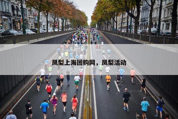 凤梨上海团购网，凤梨活动