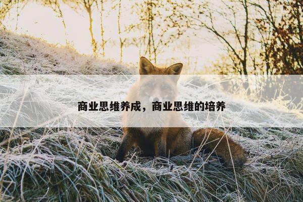 商业思维养成，商业思维的培养