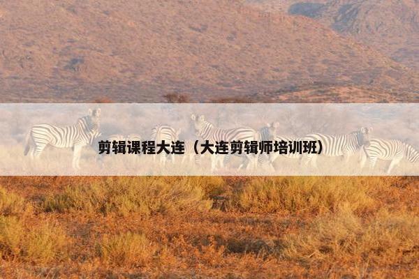 剪辑课程大连（大连剪辑师培训班）