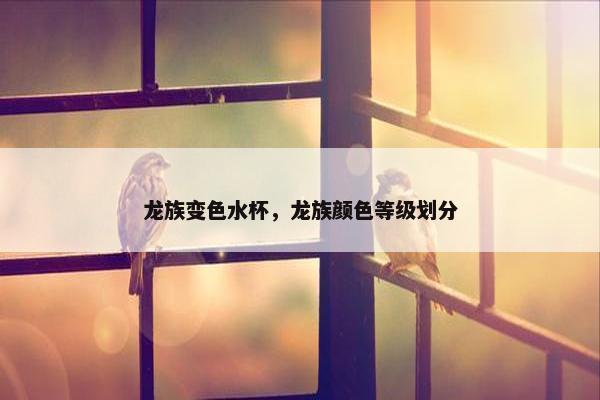 龙族变色水杯，龙族颜色等级划分