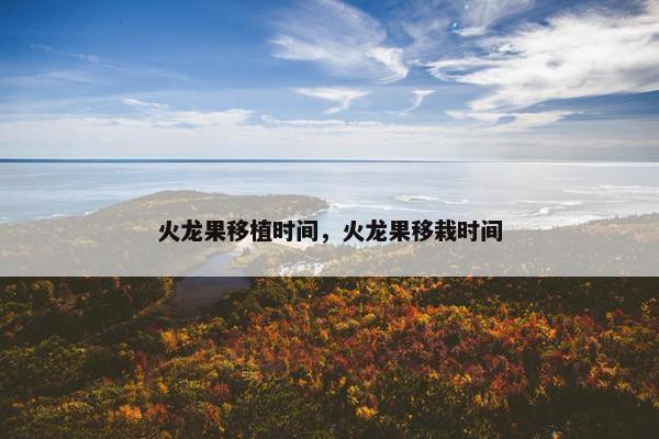 火龙果移植时间，火龙果移栽时间