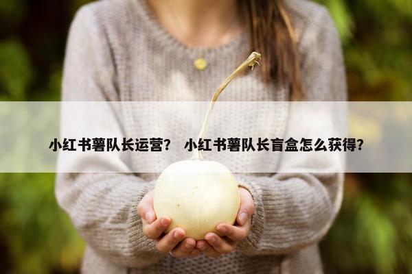 小红书薯队长运营？ 小红书薯队长盲盒怎么获得？