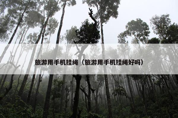 旅游用手机挂绳（旅游用手机挂绳好吗）