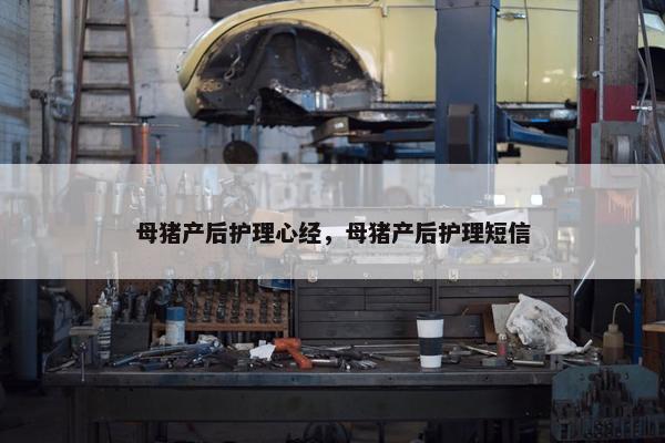 母猪产后护理心经，母猪产后护理短信