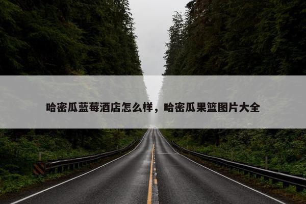 哈密瓜蓝莓酒店怎么样，哈密瓜果篮图片大全