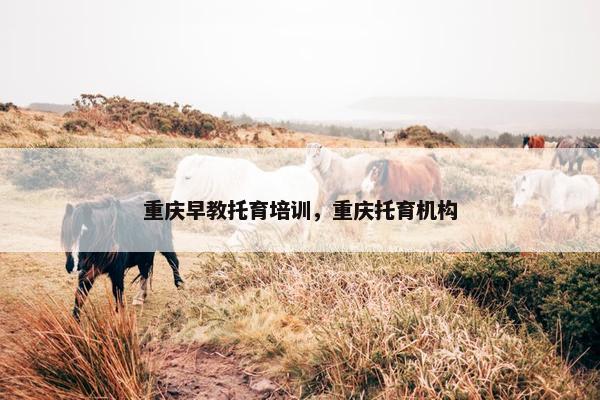 重庆早教托育培训，重庆托育机构