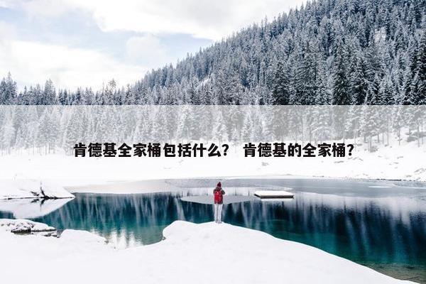 肯德基全家桶包括什么？ 肯德基的全家桶？