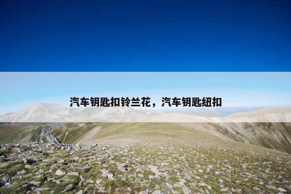 汽车钥匙扣铃兰花，汽车钥匙纽扣