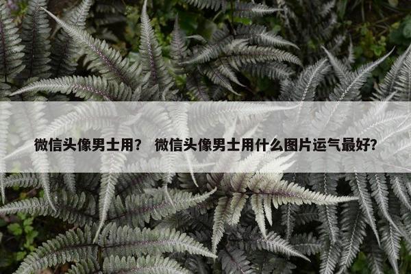 微信头像男士用？ 微信头像男士用什么图片运气最好？