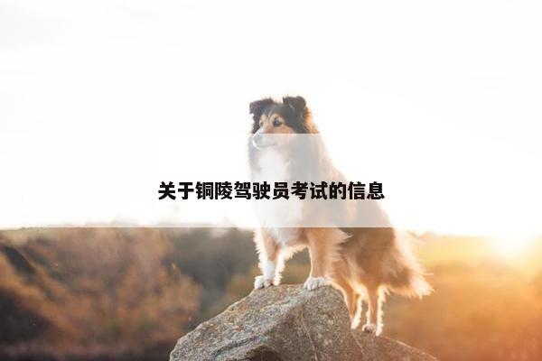 关于铜陵驾驶员考试的信息