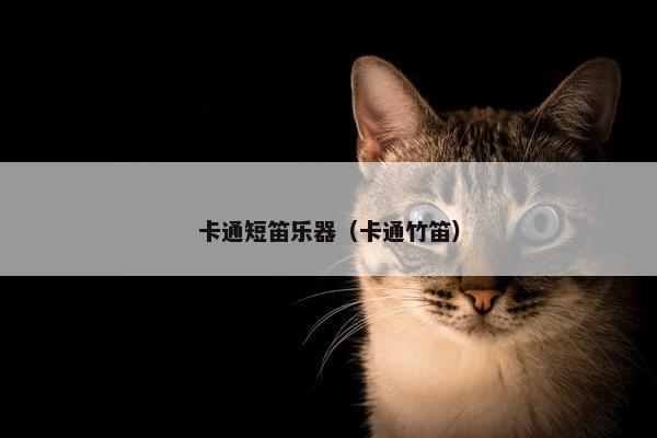 卡通短笛乐器（卡通竹笛）