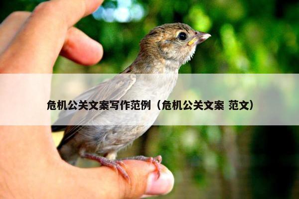 危机公关文案写作范例（危机公关文案 范文）