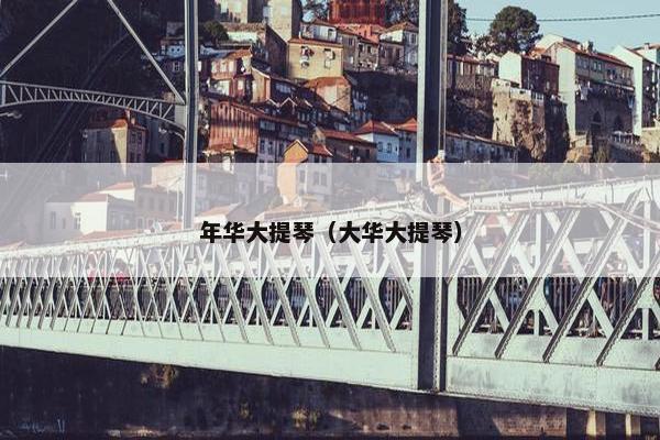 年华大提琴（大华大提琴）