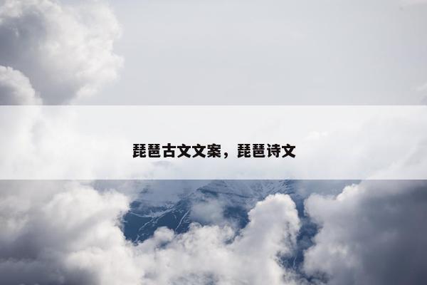 琵琶古文文案，琵琶诗文