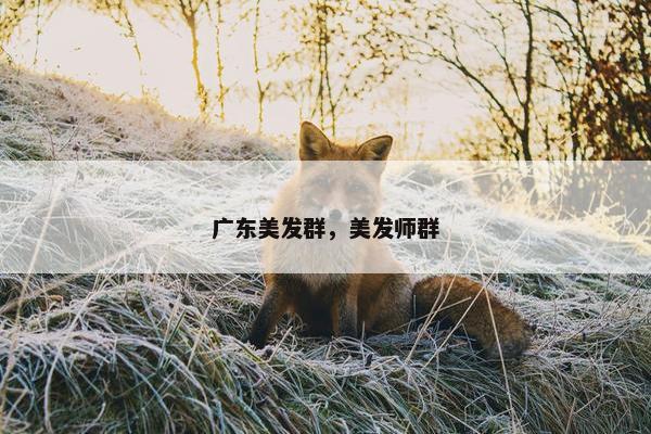 广东美发群，美发师群
