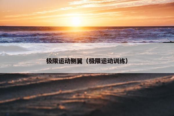 极限运动侧翼（极限运动训练）