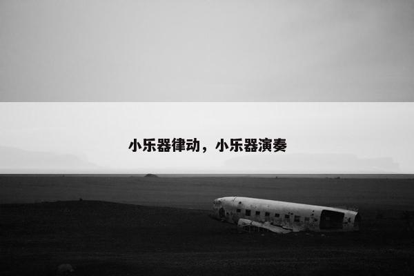 小乐器律动，小乐器演奏