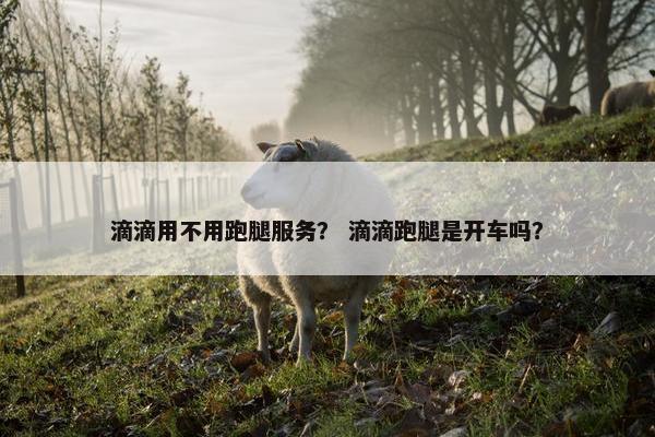 滴滴用不用跑腿服务？ 滴滴跑腿是开车吗？