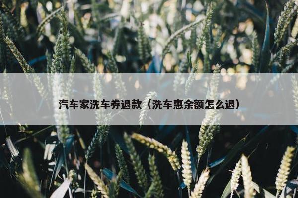 汽车家洗车券退款（洗车惠余额怎么退）