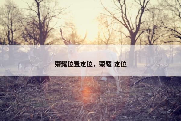 荣耀位置定位，荣耀 定位