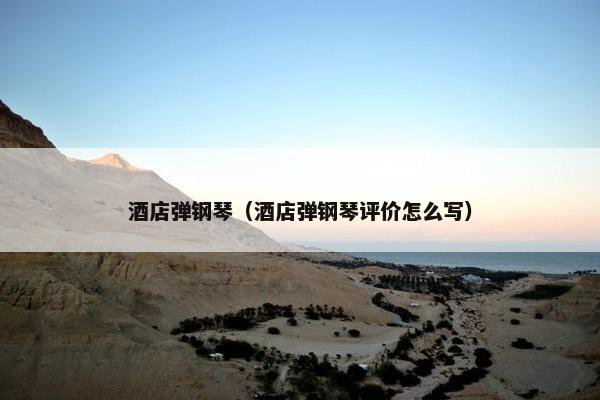 酒店弹钢琴（酒店弹钢琴评价怎么写）