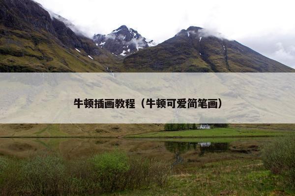 牛顿插画教程（牛顿可爱简笔画）