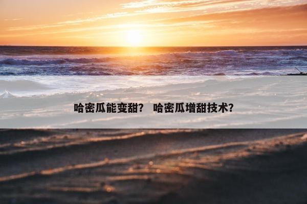 哈密瓜能变甜？ 哈密瓜增甜技术？
