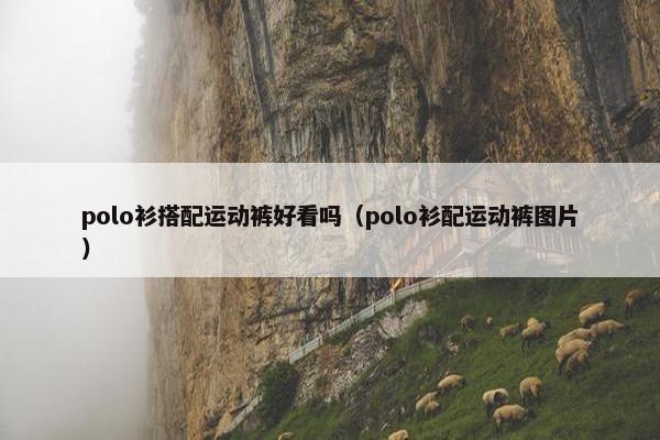 polo衫搭配运动裤好看吗（polo衫配运动裤图片）