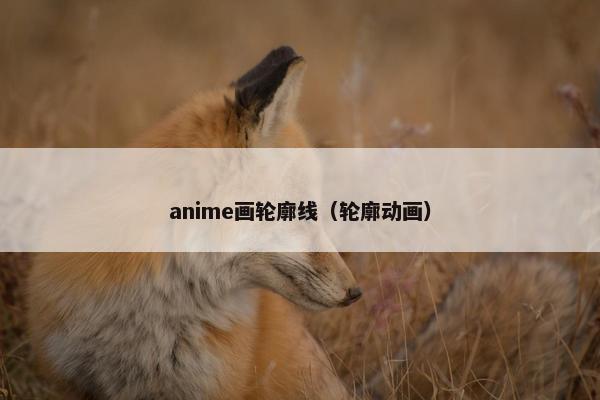 anime画轮廓线（轮廓动画）