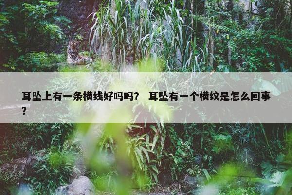 耳坠上有一条横线好吗吗？ 耳坠有一个横纹是怎么回事？
