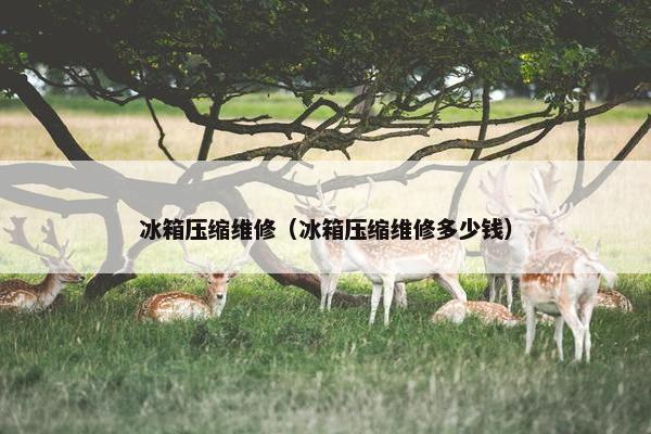 冰箱压缩维修（冰箱压缩维修多少钱）