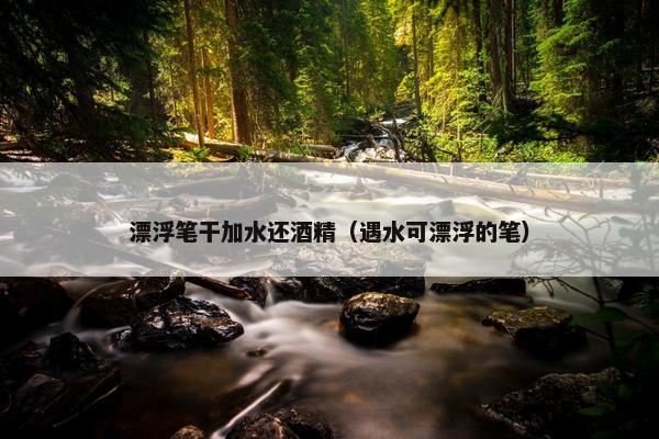 漂浮笔干加水还酒精（遇水可漂浮的笔）