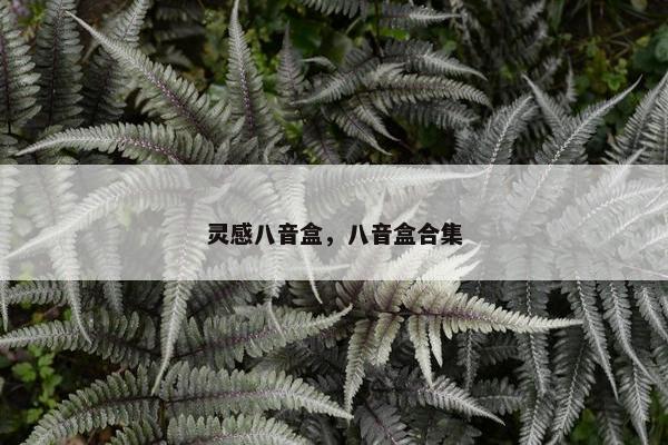 灵感八音盒，八音盒合集