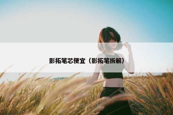 影拓笔芯便宜（影拓笔拆解）