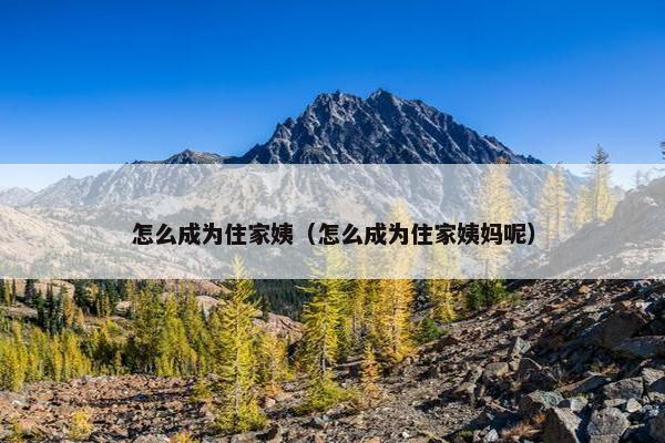 怎么成为住家姨（怎么成为住家姨妈呢）