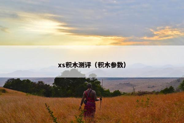xs积木测评（积木参数）
