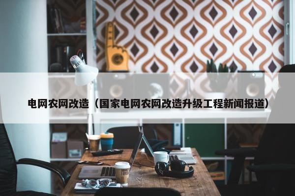 电网农网改造（国家电网农网改造升级工程新闻报道）