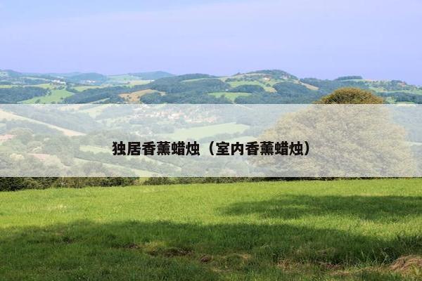 独居香薰蜡烛（室内香薰蜡烛）