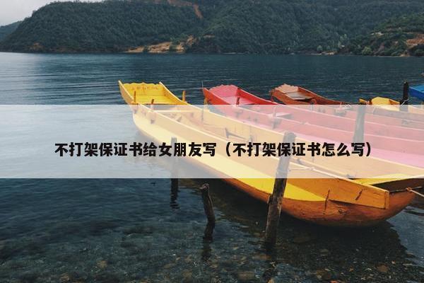 不打架保证书给女朋友写（不打架保证书怎么写）