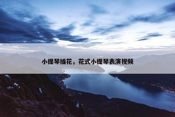 小提琴插花，花式小提琴表演视频
