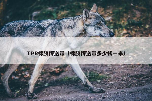TPR橡胶传送带（橡胶传送带多少钱一米）