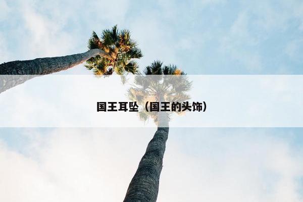 国王耳坠（国王的头饰）