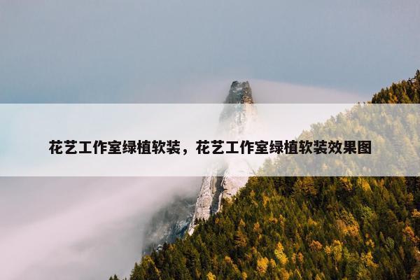 花艺工作室绿植软装，花艺工作室绿植软装效果图