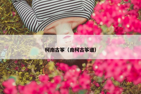 柯南古筝（南柯古筝谱）