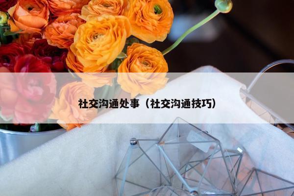 社交沟通处事（社交沟通技巧）